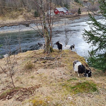 Rongen Gard Villa Bolstadøyri Dış mekan fotoğraf