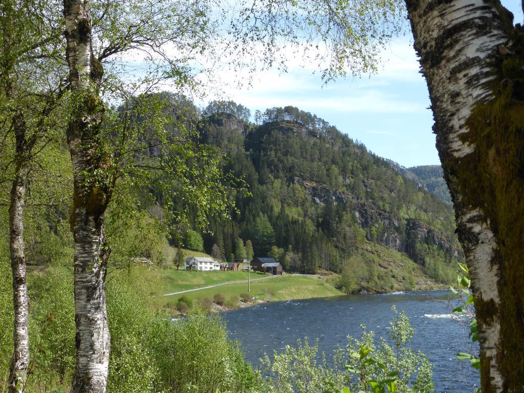 Rongen Gard Villa Bolstadøyri Dış mekan fotoğraf