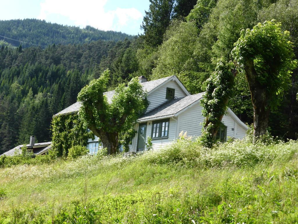 Rongen Gard Villa Bolstadøyri Dış mekan fotoğraf